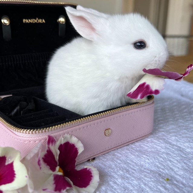 Photo of Crystal Skye