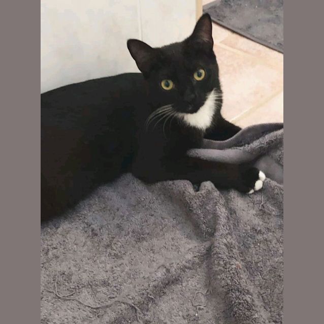 Photo of Abbie