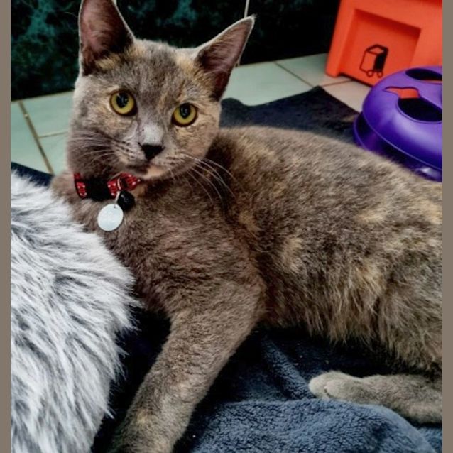 Photo of Peaches 🍑💕