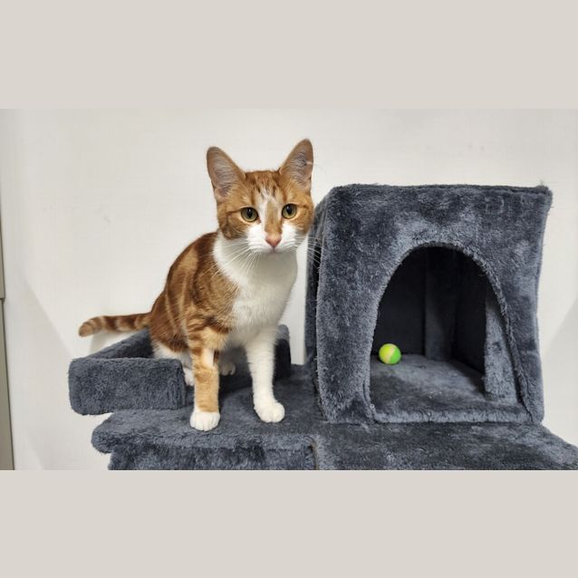 Photo of Spooky
