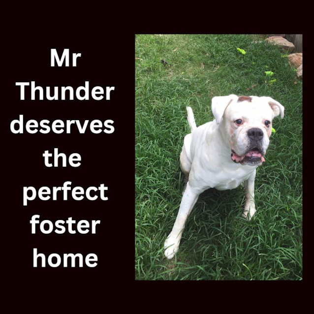 Photo of Thunder