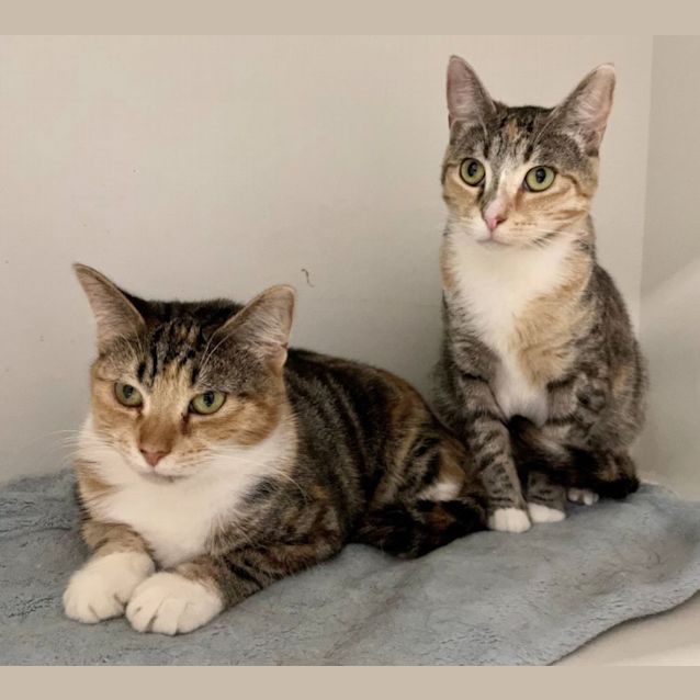 Photo of Kate & Helena