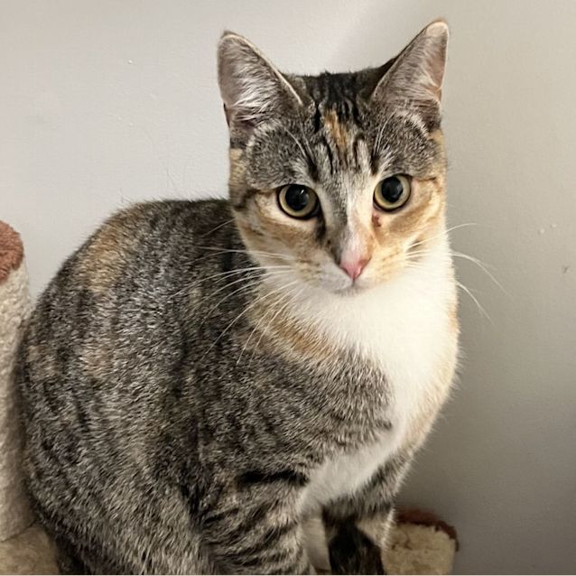 Photo of Kate & Helena