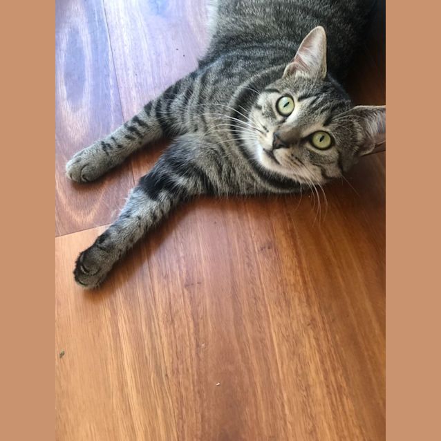 Photo of Juanita