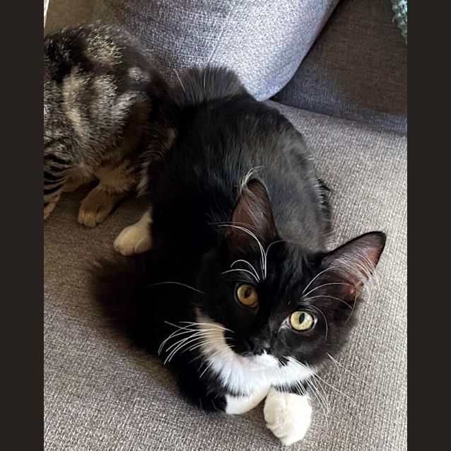 Photo of Rainbow Dash Suk010491