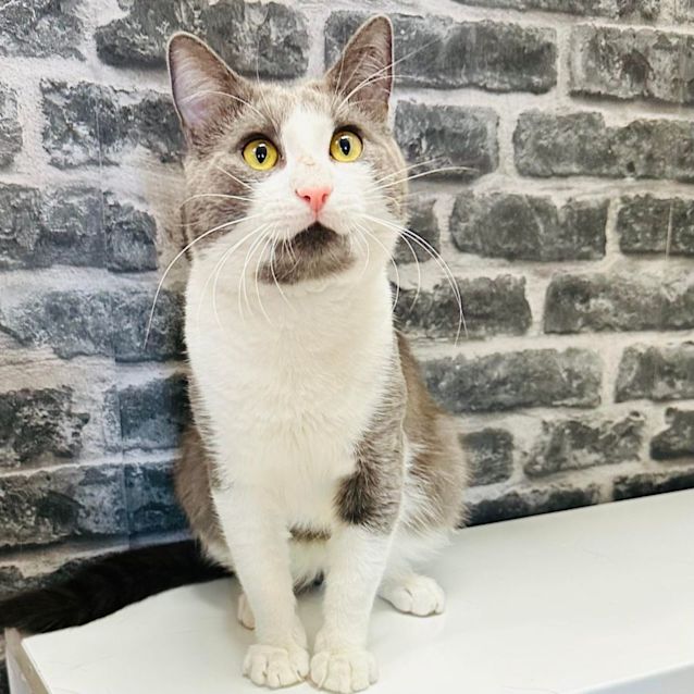 Photo of Floyd   Located In Preston