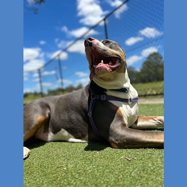 Photo of Duke