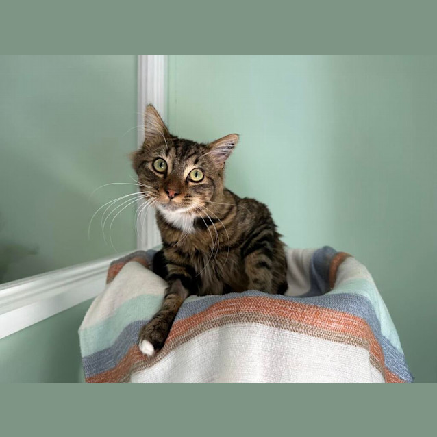 Photo of Mista