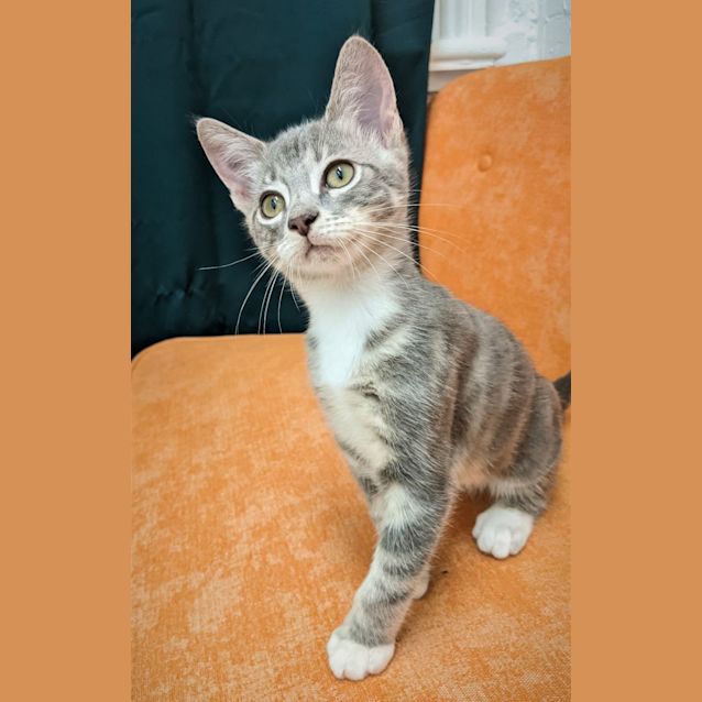 Photo of Bug