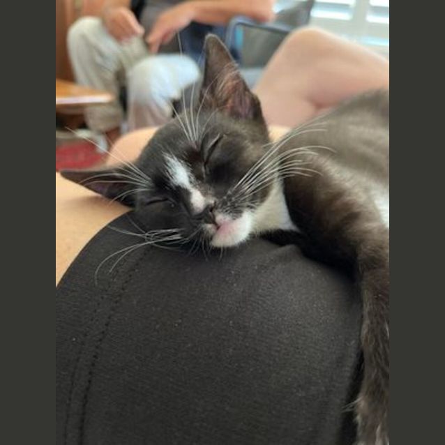 Photo of Choe And Cassidy