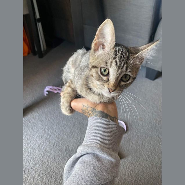 Photo of Freddy (Kruger)