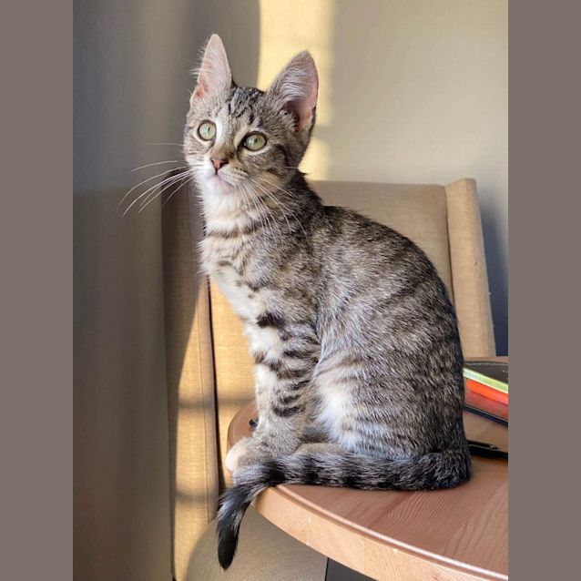 Photo of Freddy (Kruger)