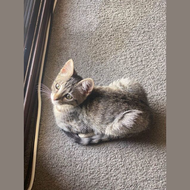 Photo of Freddy (Kruger)