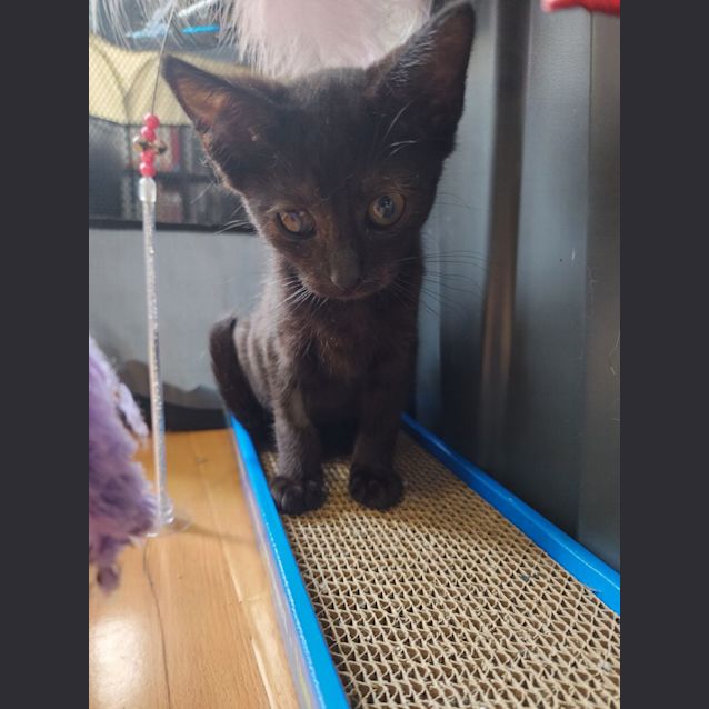 Photo of Habanero ❤️‍🔥🌶🌶