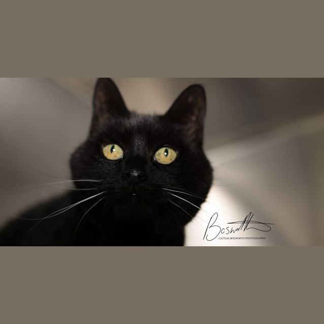 Photo of Eleanor