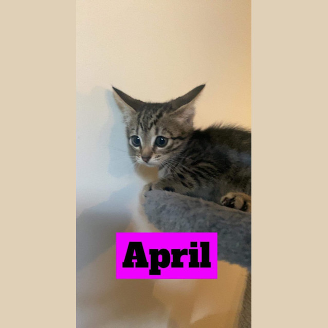 Photo of April