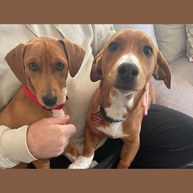 Photo of Bonnie And Clyde