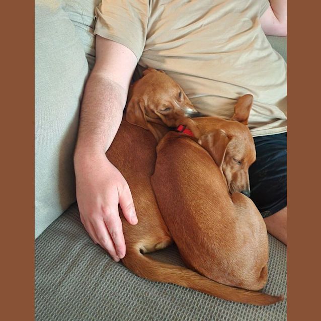 Photo of Bonnie And Clyde