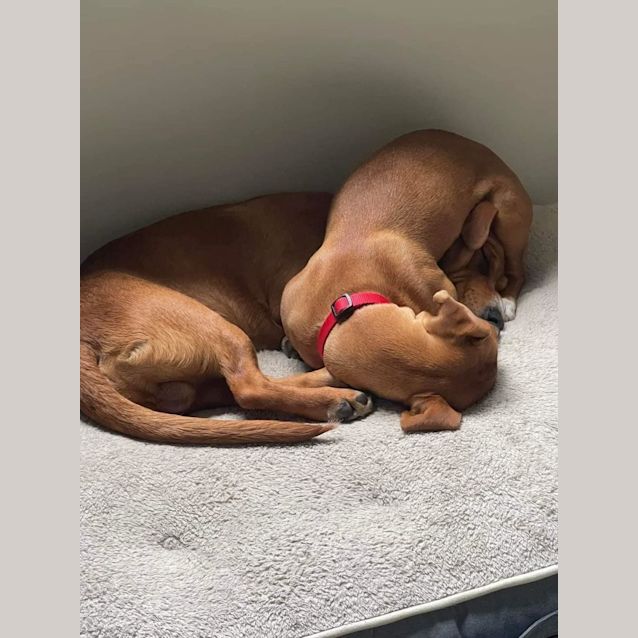 Photo of Bonnie And Clyde