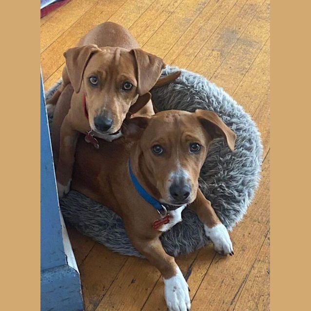 Photo of Bonnie And Clyde