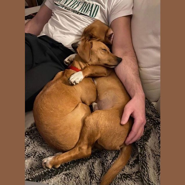 Photo of Bonnie And Clyde