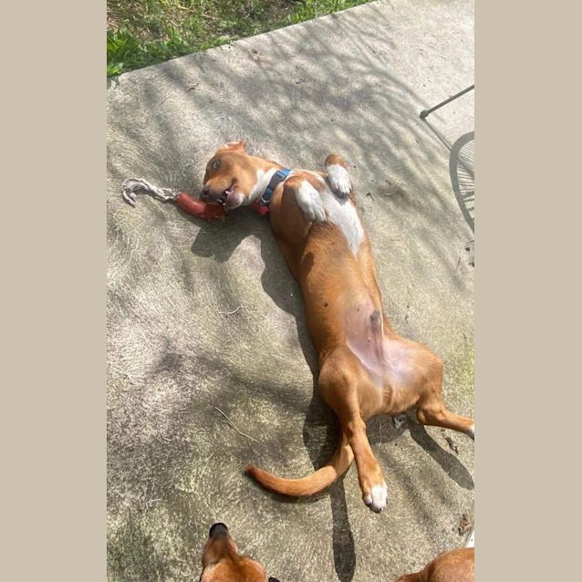 Photo of Bonnie And Clyde