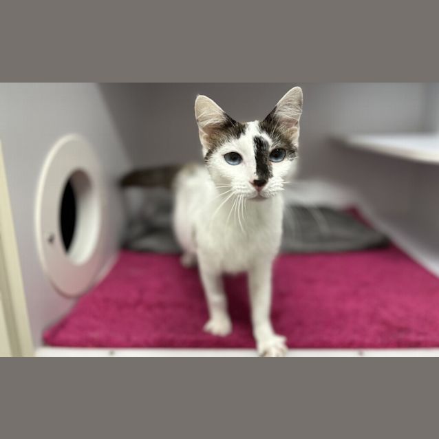 Photo of Penny