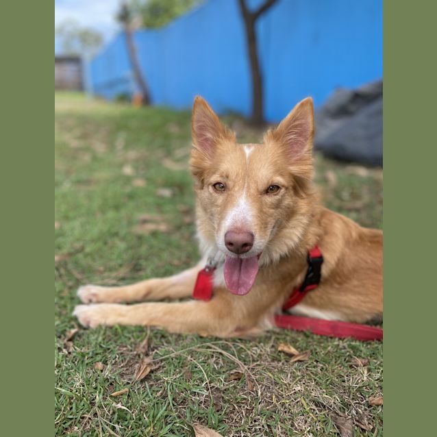 Photo of Nellie
