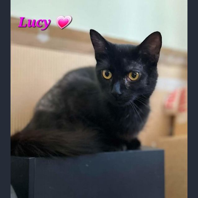 Photo of Lucy