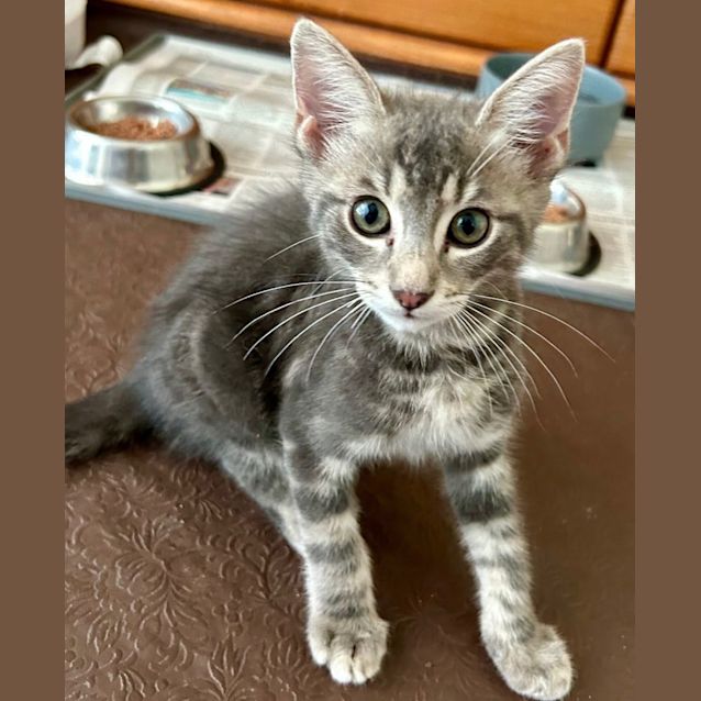 Photo of Monty