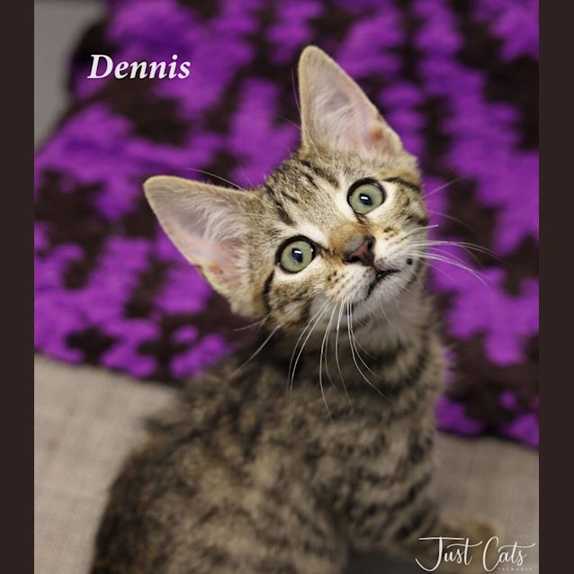 Photo of Dennis
