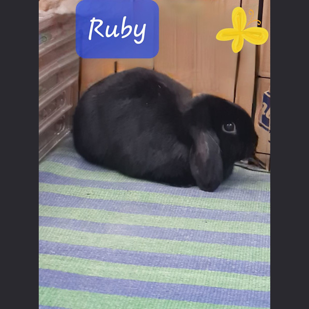 Photo of Ruby Destiny & Quinn