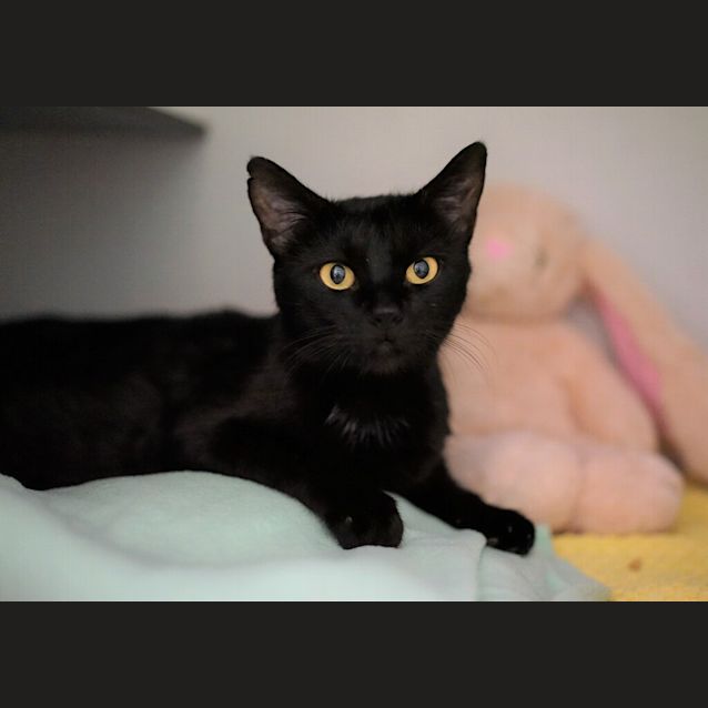 Photo of Elsa