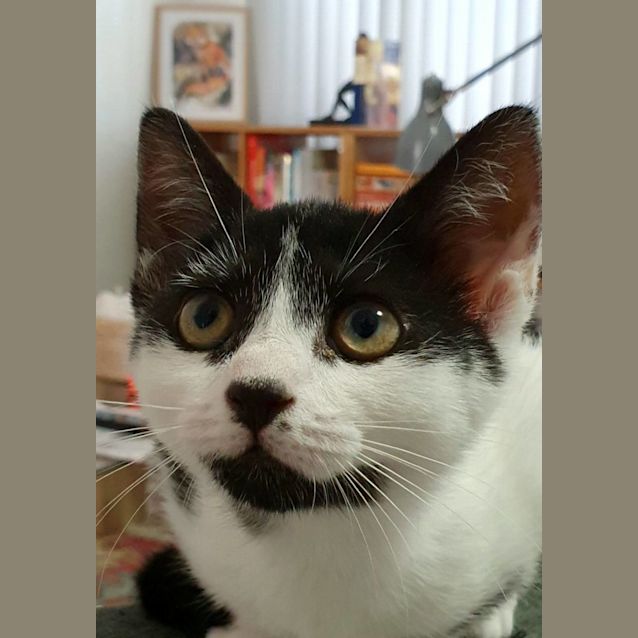 Photo of Bowie And Cilla