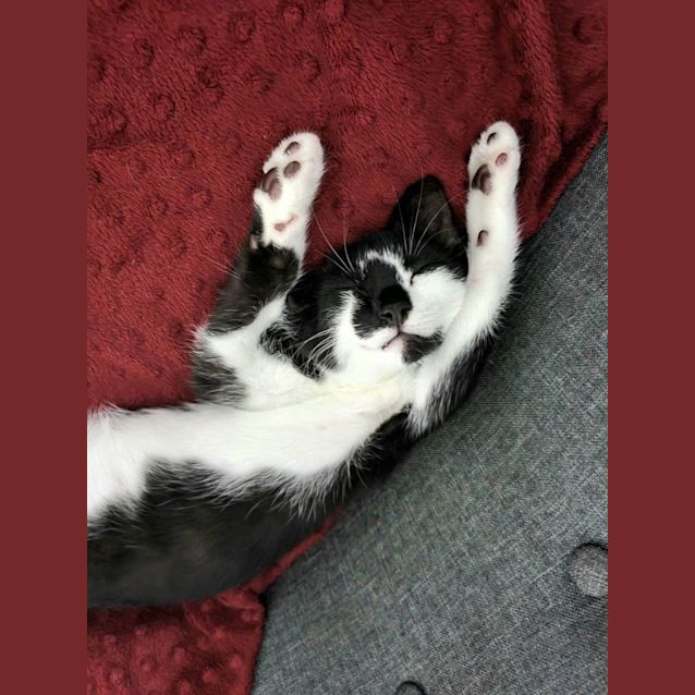 Photo of Bowie And Cilla