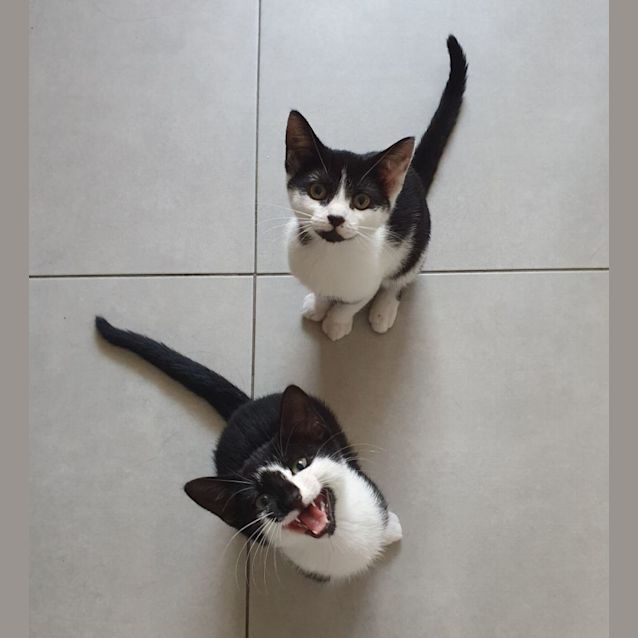 Photo of Bowie And Cilla