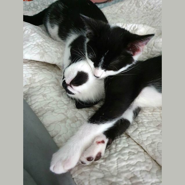 Photo of Bowie And Cilla