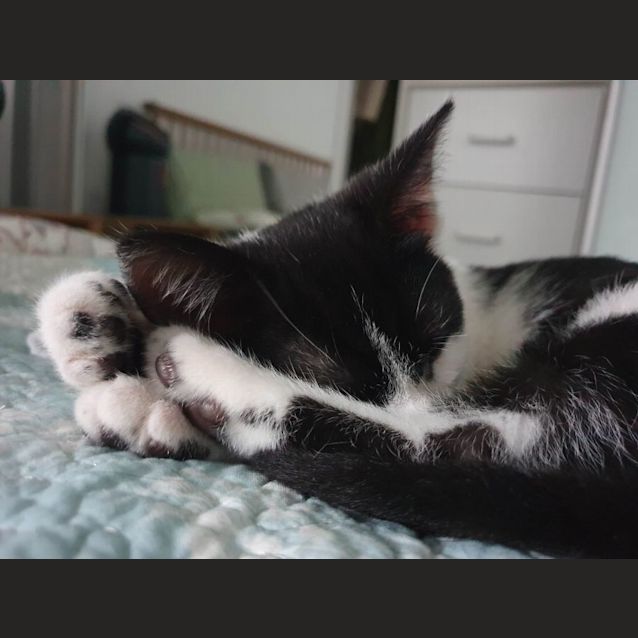 Photo of Bowie And Cilla