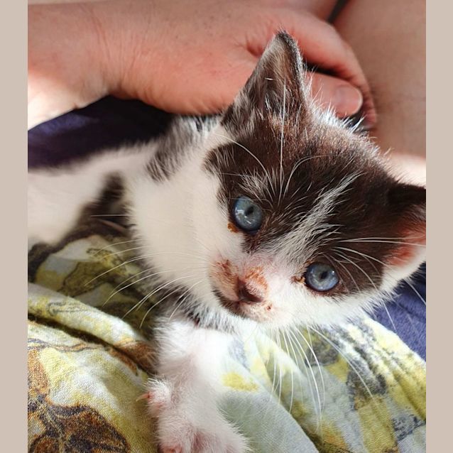 Photo of Bowie And Cilla