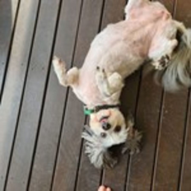Photo of Tia & Missy