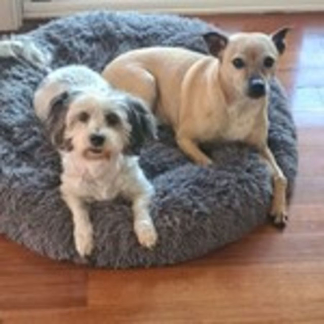 Photo of Tia & Missy