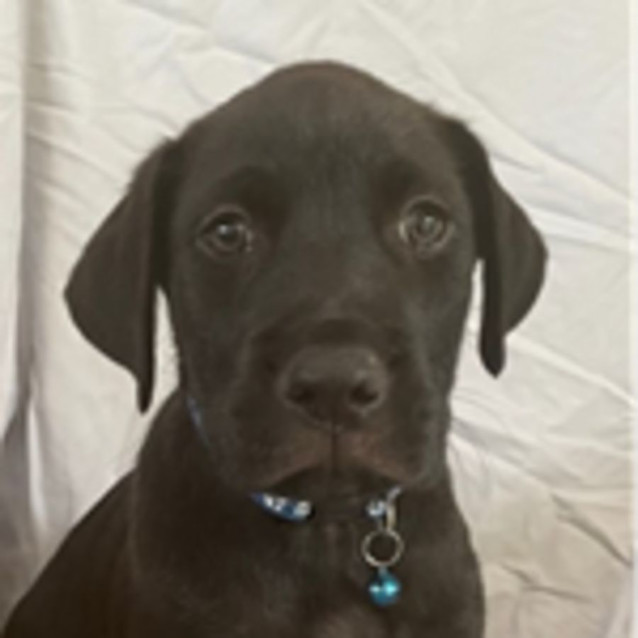 Photo of Buster