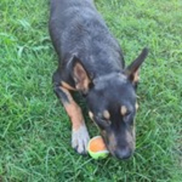 Photo of Charlie