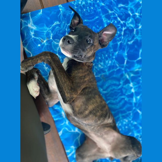 Photo of Freya