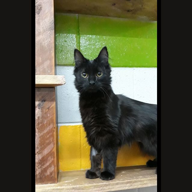 Photo of Charm