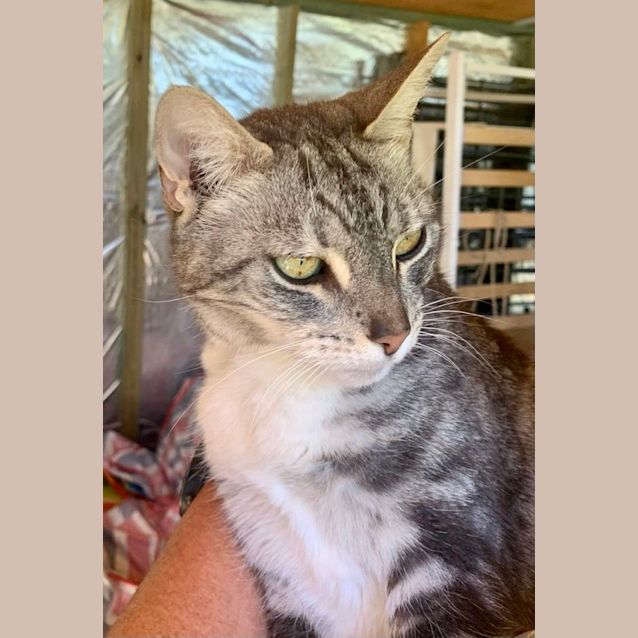 Photo of Thelma & Louise