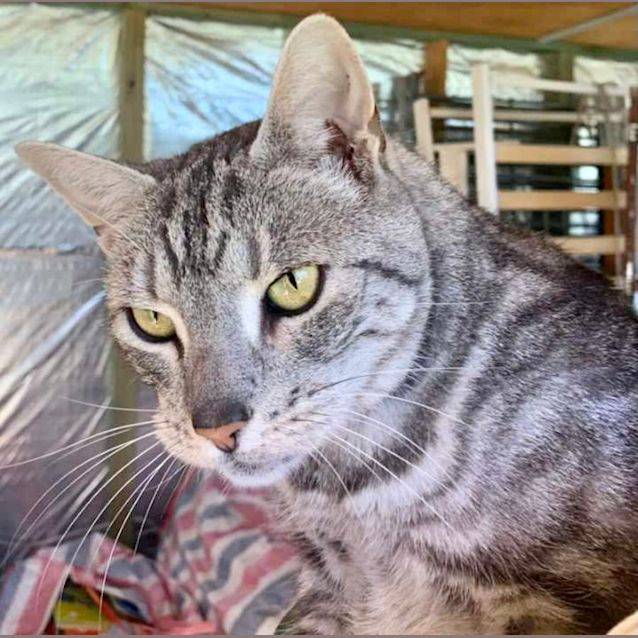 Photo of Thelma & Louise