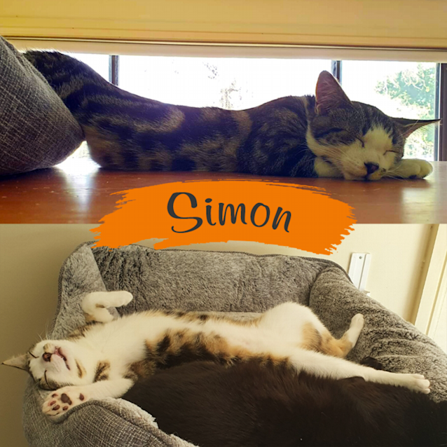 Photo of Simon