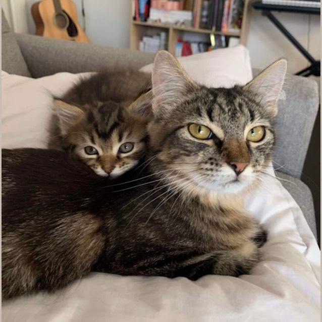 Photo of Wombat & Juniper 