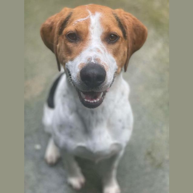 Photo of Roxy